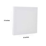 Artist Canvas Board for Painting