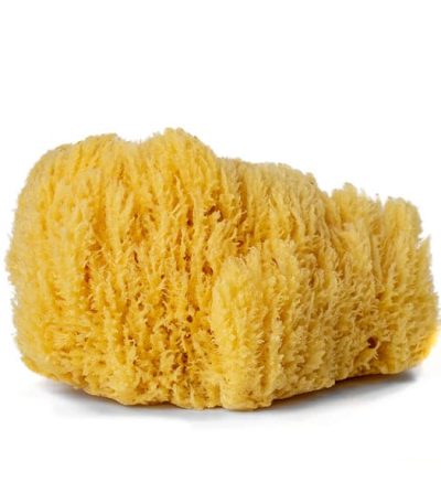 Daler Rowney Artist’S Natural Sponge
