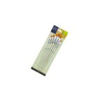 Transparent Flat Brushes Pack of 6