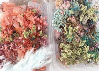 1 Box Mix Beautiful Real Dried Natural Flowers for Resin Jewelry Craft Making