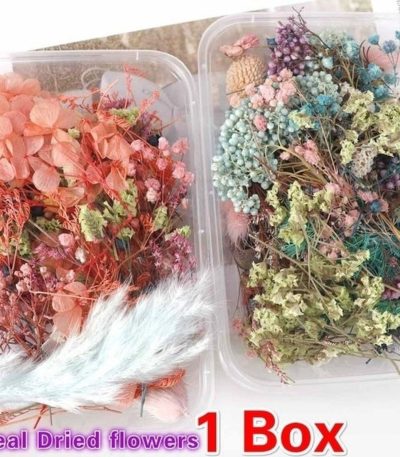 1 Box Mix Beautiful Real Dried Natural Flowers for Resin Jewelry Craft Making