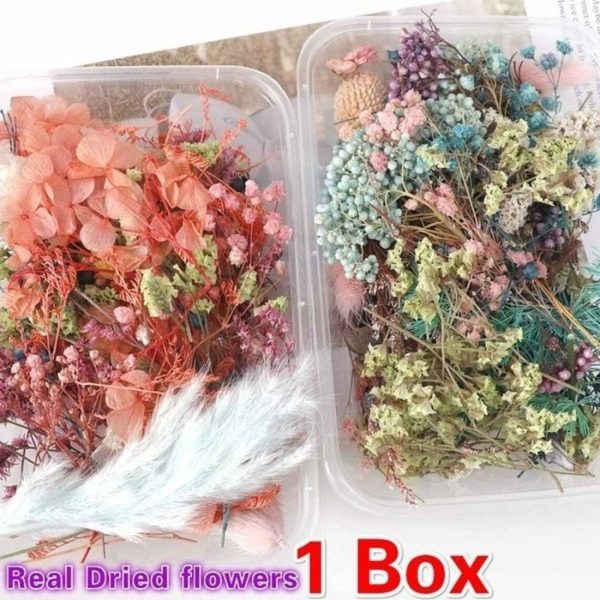 1 Box Mix Beautiful Real Dried Natural Flowers for Resin Jewelry Craft Making