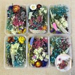 1 Box Mix Beautiful Real Dried Natural Flowers for Resin Jewelry Craft Making