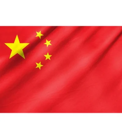 China Flag 15x22cm