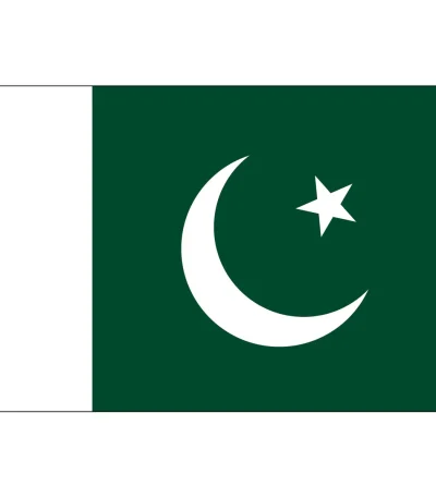 Pakistan Flag 15x22cm
