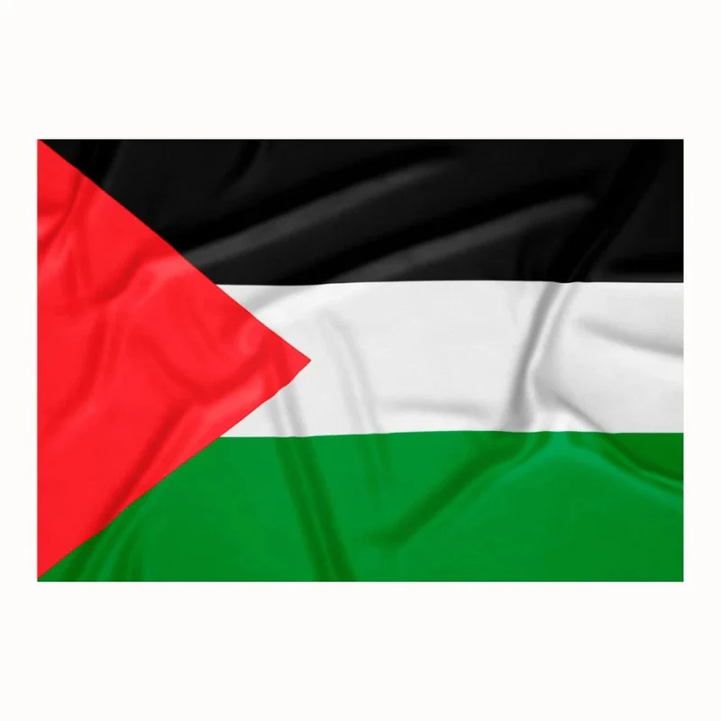 Palestine Flag 15x22cm
