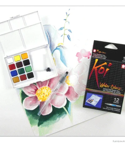 Sakura Koi Watercolor