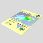 Spectra Color Paper 80gm Pack of 100 Sheets