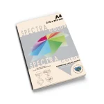 Spectra Color Paper 80gm Pack of 100 Sheets