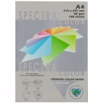 Spectra Color Paper 80gm Pack of 100 Sheets