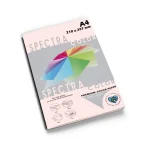 Spectra Color Paper 80gm Pack of 100 Sheets